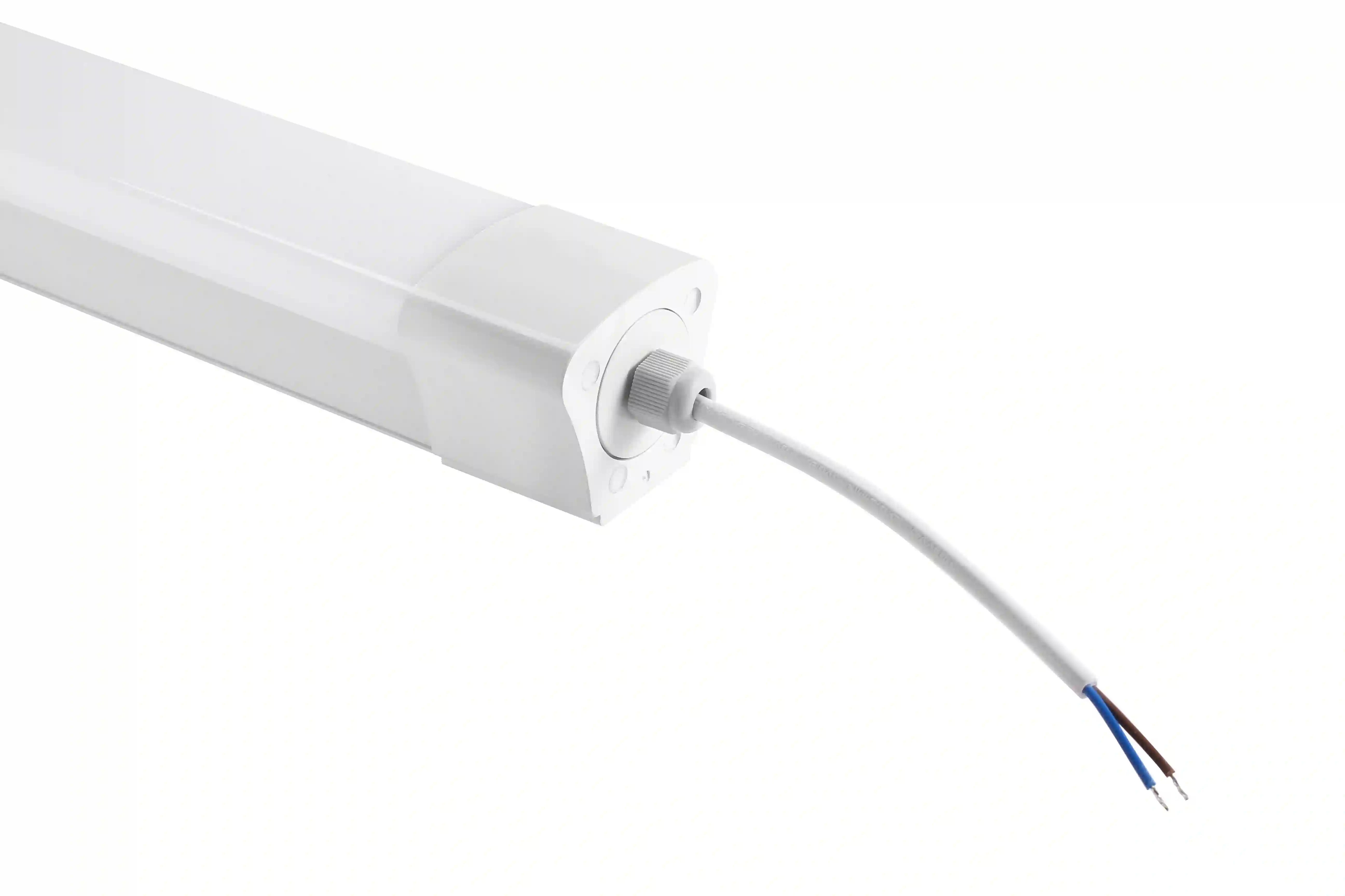 led cob spot light